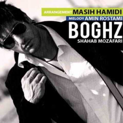 Shahab Mozaffari Boghz